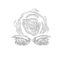 Rookie Spirit icon